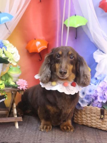 20230607ここあくん